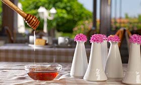 Acrotel Lily Ann Village