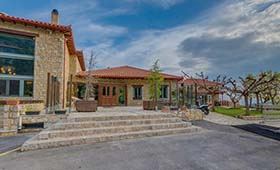 Aegli hotel (incl. auto)