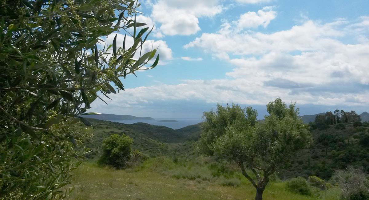 Afentiko Pigadi Messinia