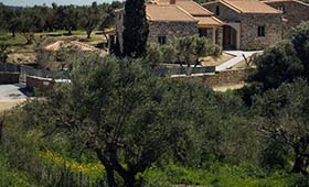 Afentiko Pigadi (incl. auto)