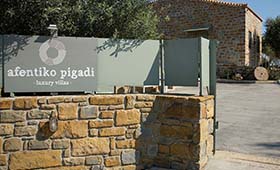 Afentiko Pigadi (incl. auto)