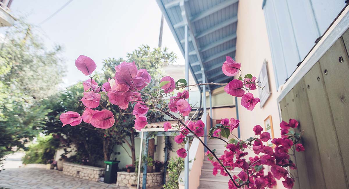 Afroditi Pansion Agios Nikitas