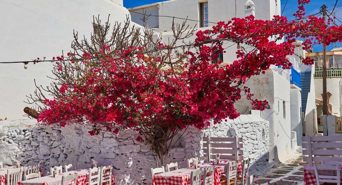 Ak Apartments Mykonos