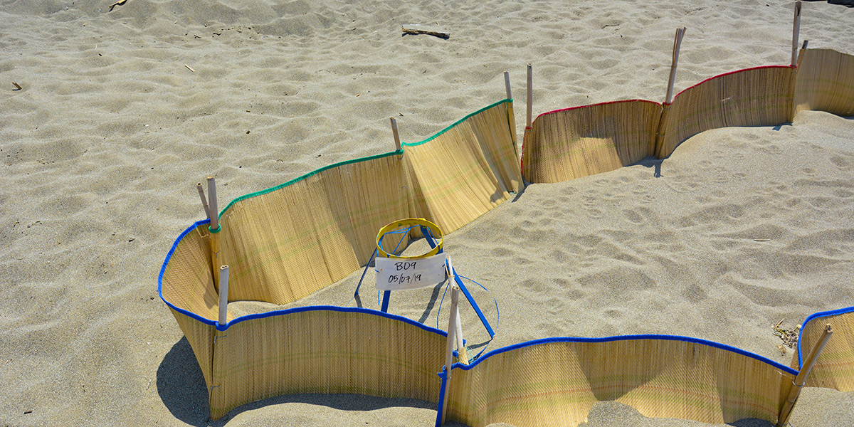 Alexander Hotel Kalamaki Zuid-Kreta