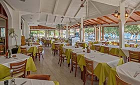 Alianthos Beach (incl auto)