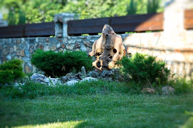 Aloni Hotel Spa Drama