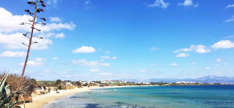 Amaryllis Beach Hotel Paros