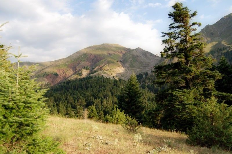 Anerada Inn Boutique Hotel Karpenissi