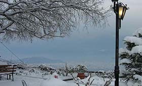 Archontico Stafylopati (incl. auto)