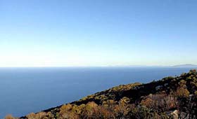 Archontico Stafylopati (incl. auto)