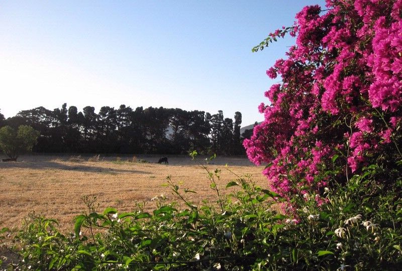 Archontiko Angelou Leros