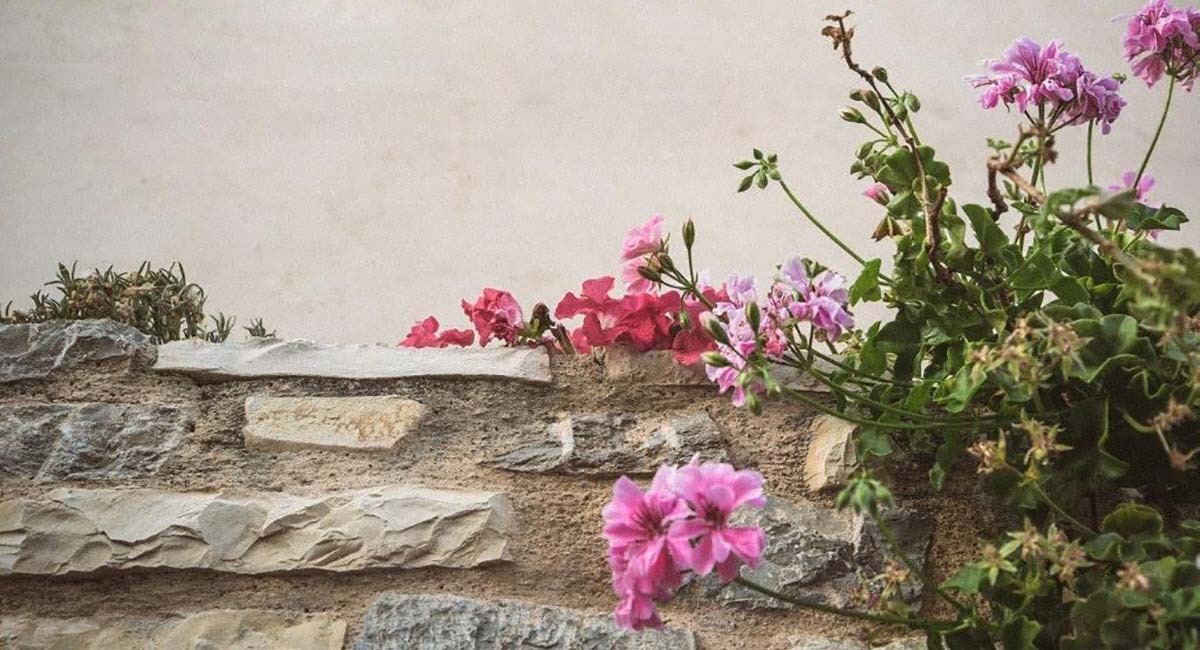 Celestia Traditional Houses