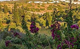 Celestia Traditional Houses (incl. auto)