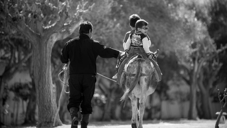 Creta Maris Beach Chersonissos