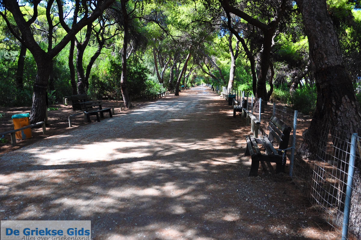 Daphnes Club Hotel Xylokastro