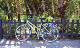 Daphne's Club Hotel (incl. auto)