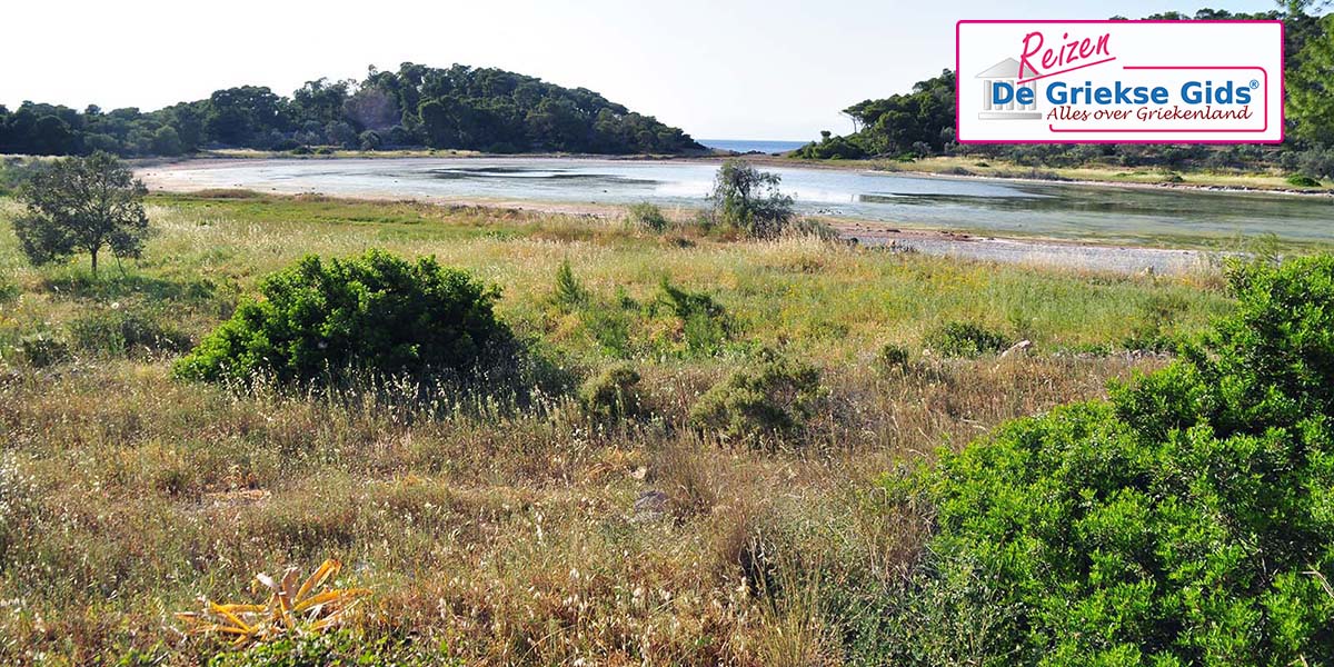 Eilandhoppen Athene Aegina Angistri