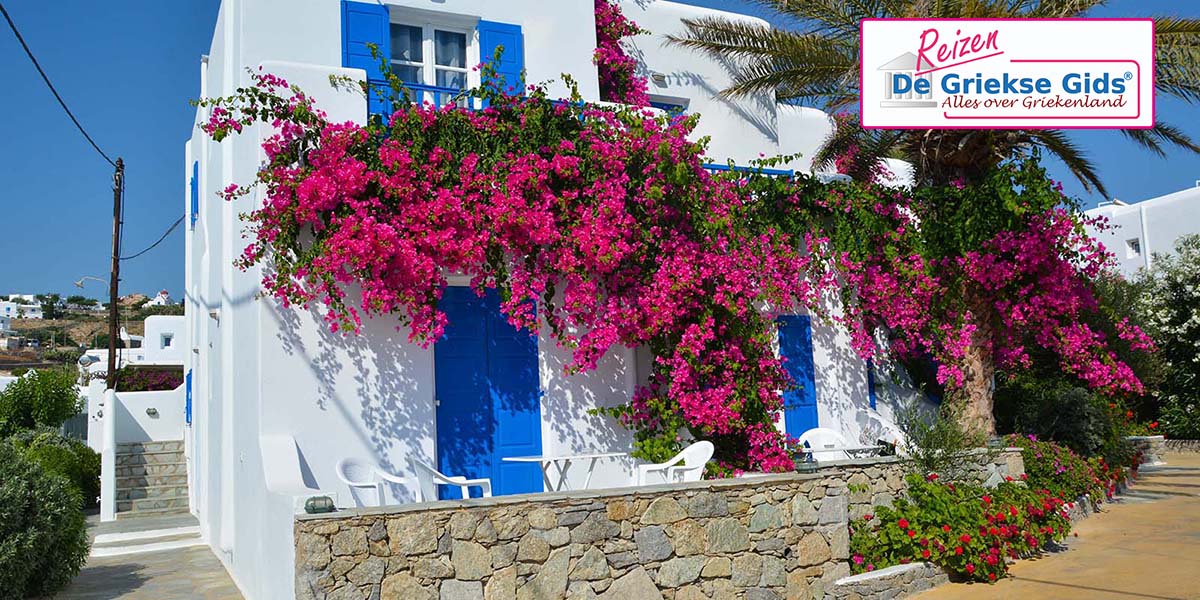 Eilandhoppen Athene Andros Mykonos