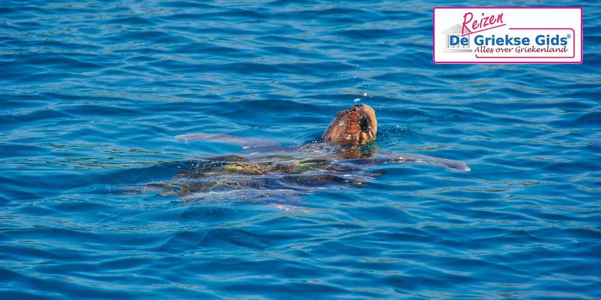 Eilandhoppen Zakynthos Kefalonia Ithaki