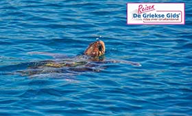 Eilandhoppen Kefalonia Ithaki Zakynthos