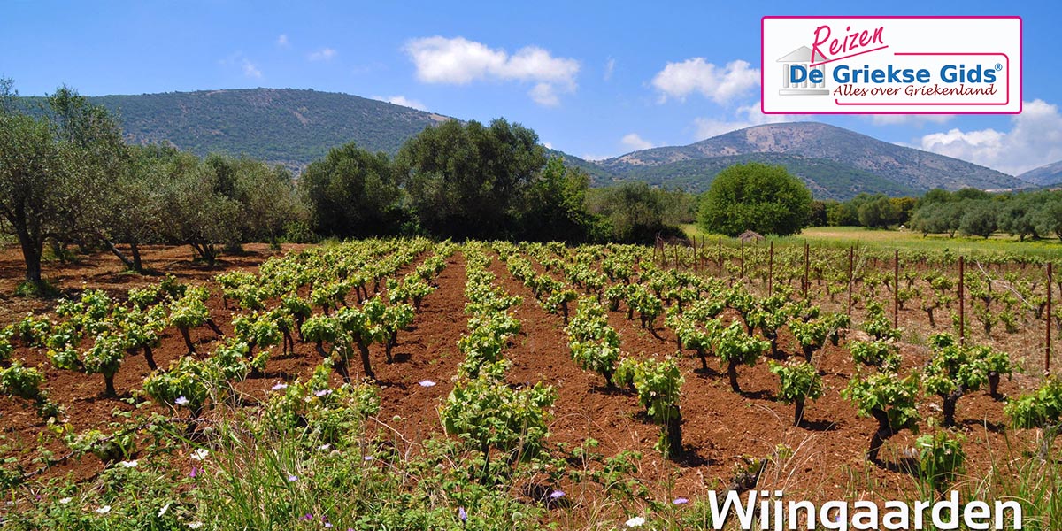 Eilandhoppen Zakynthos Kefalonia