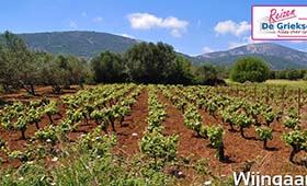 Eilandhoppen Kefalonia Zakynthos