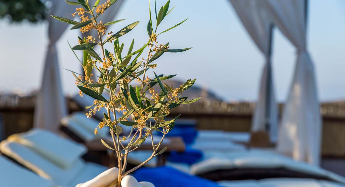 Eiriana Luxury Suites