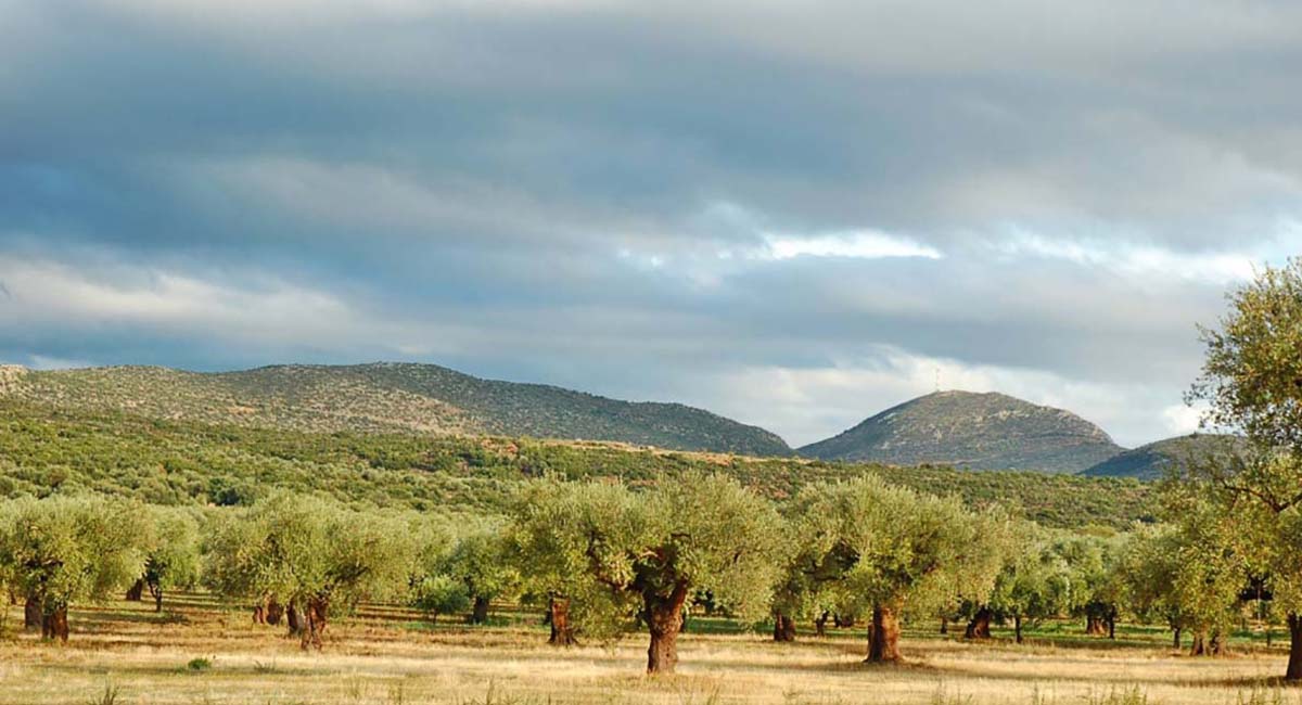 Eumelia Organic Agrotourism Farm Guesthouse