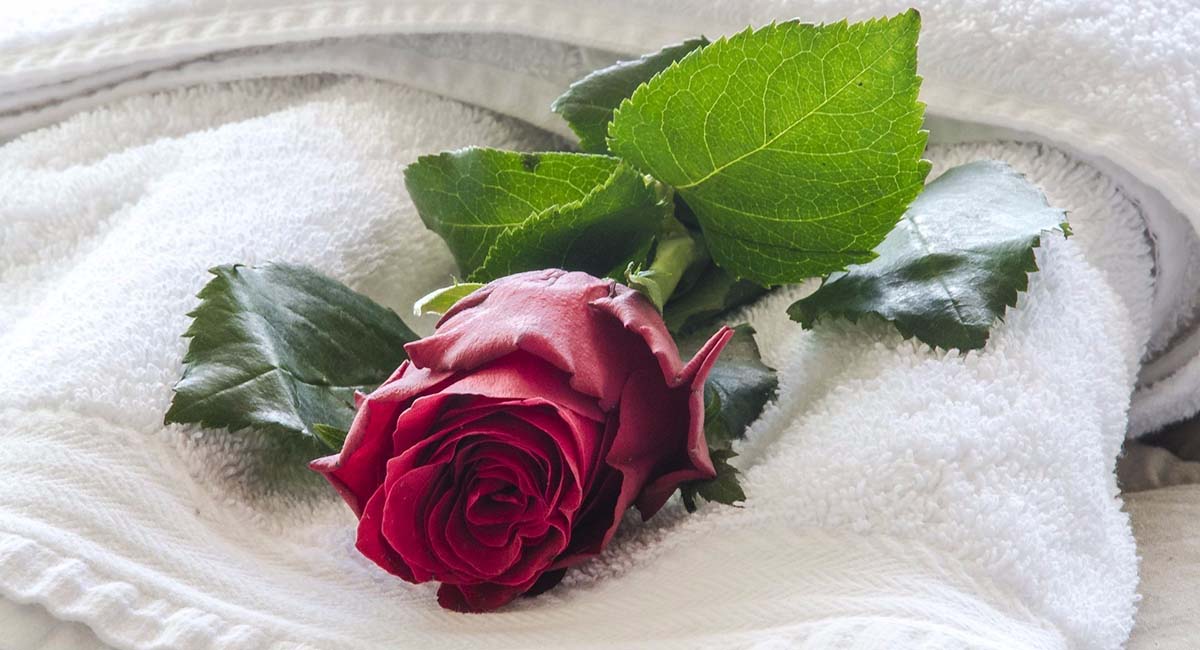 Fedriades Hotel Delphi