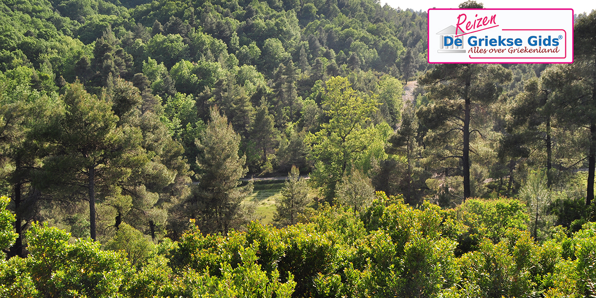 Fly & Drive Noord-Zuid Evia