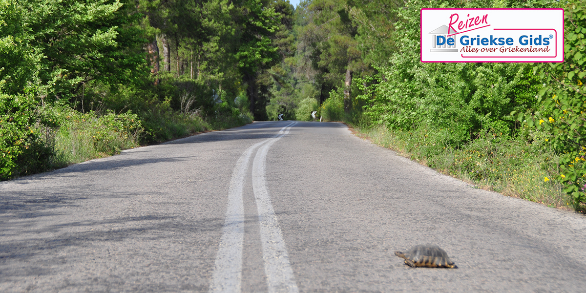 Fly & Drive Noord-Zuid Evia