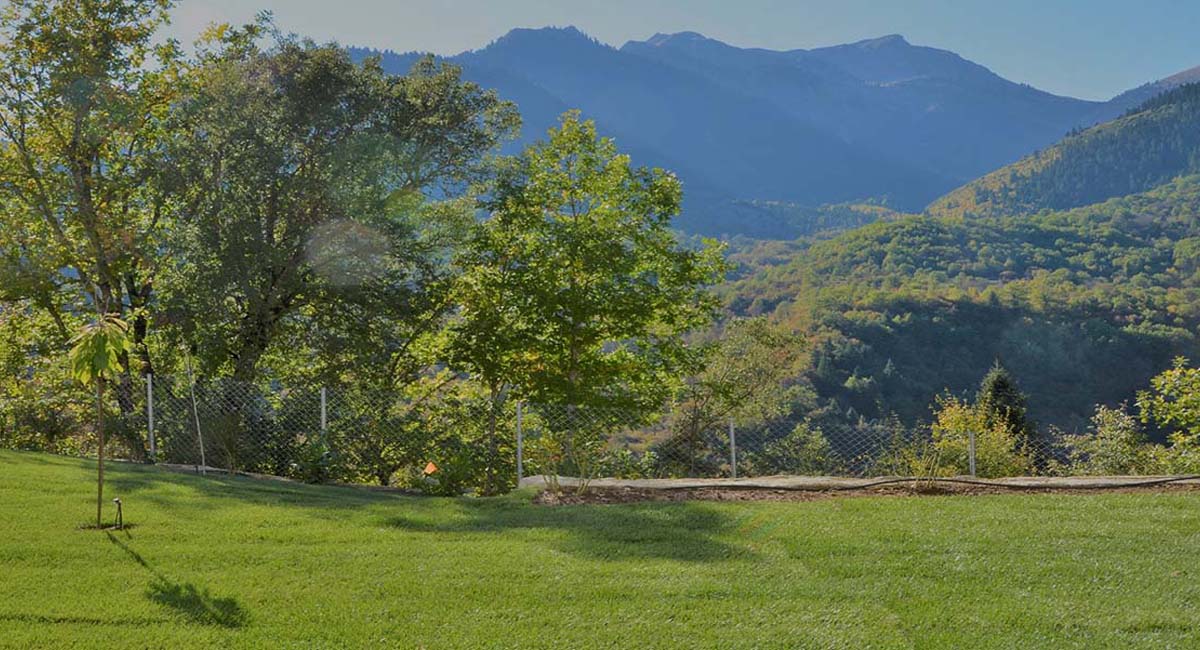 Forest Suites Karpenisi