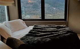 Forest Suites (incl. auto)