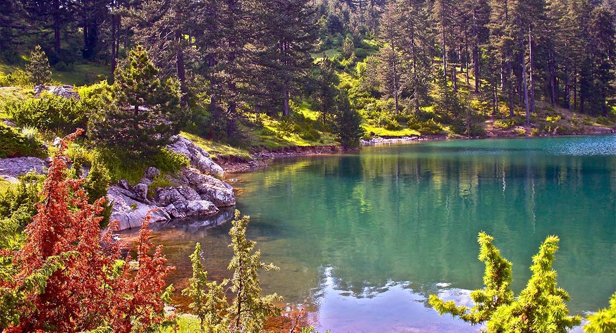 Grand Forest Metsovo