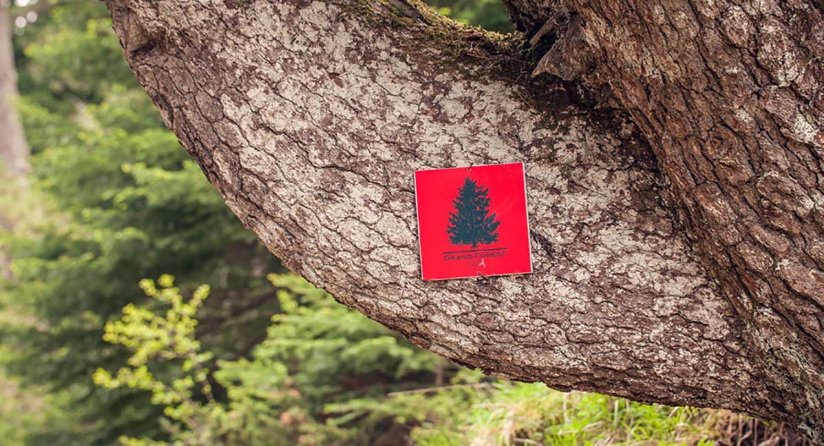 Grand Forest Metsovo