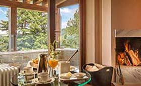 Grand Forest (incl. auto)