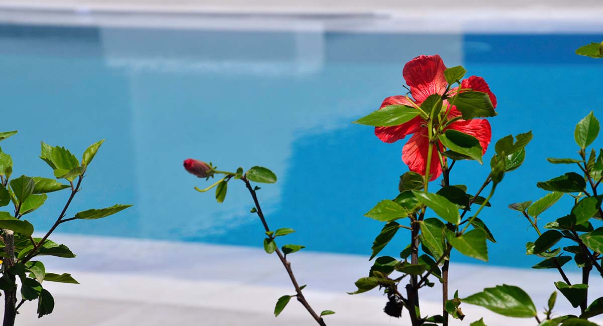 Ionathan Koufonisia Suites Koufonisia Cyclades