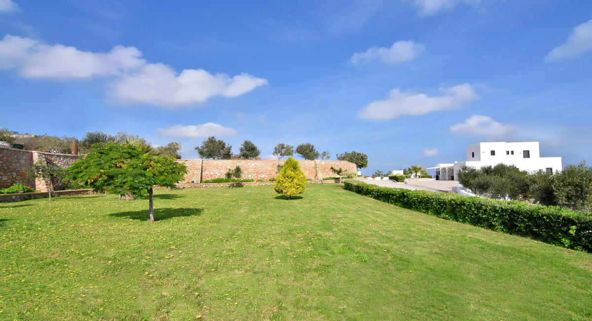 Irene Villa Santorini