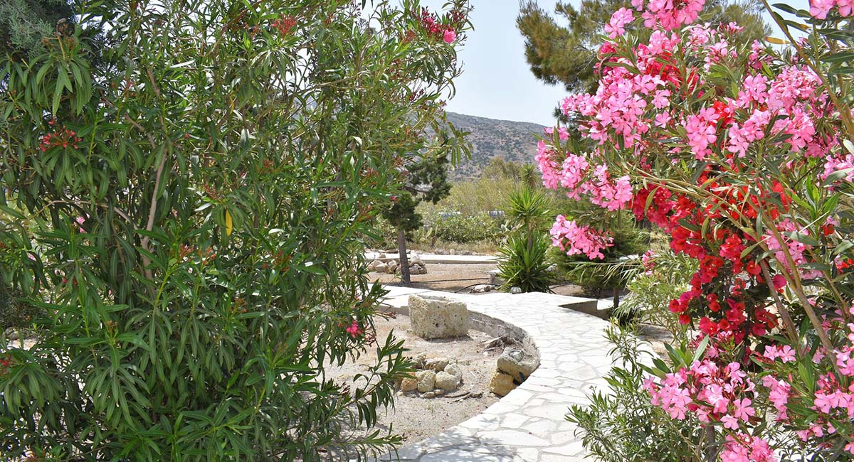 Kostantakis Winery Residence