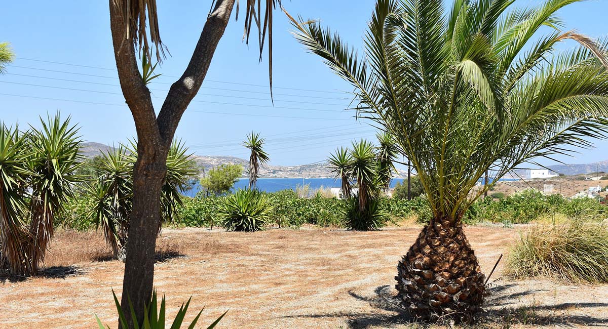 Kostantakis Winery Residence