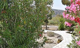 Kostantakis Winery & Residence