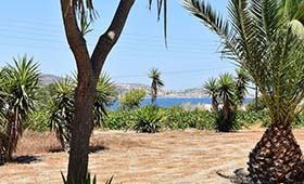 Kostantakis Winery & Residence