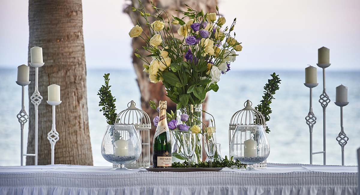 Louis Paphos Breeze 4 Star Plus