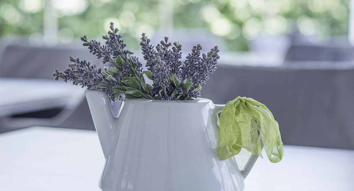 Micra Anglia Boutique Hotel Andros