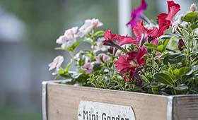 Micra Anglia Boutique Hotel Andros