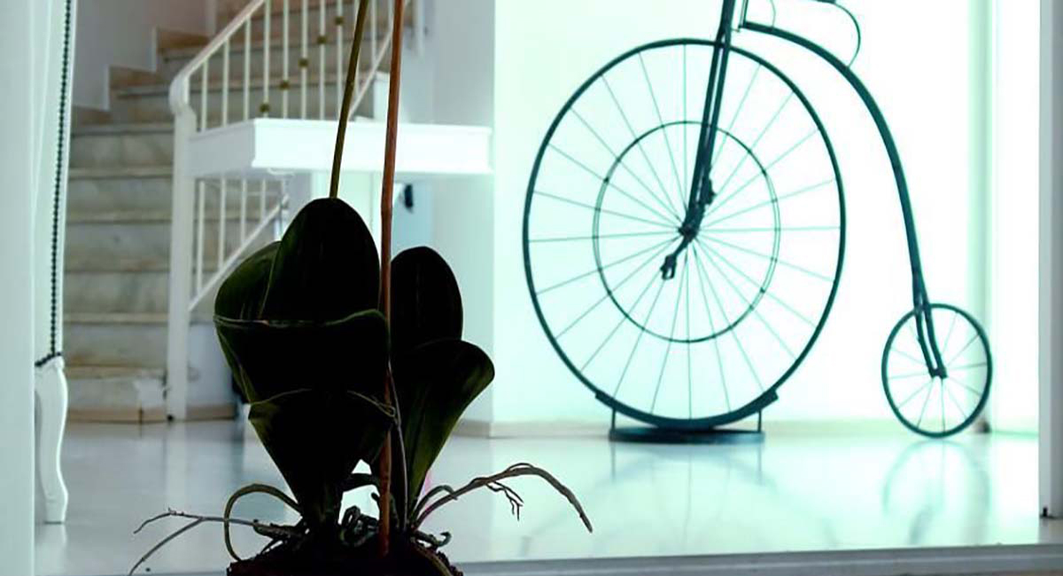 Paradise Art Hotel Andros