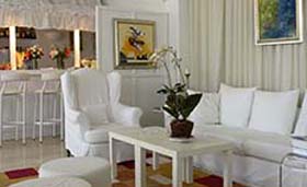 Paradise Art Hotel Andros