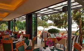 Paradise Lost (incl. auto)