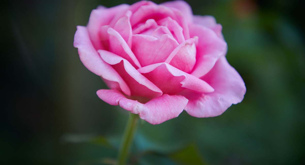 Parga Beach Resort Parga