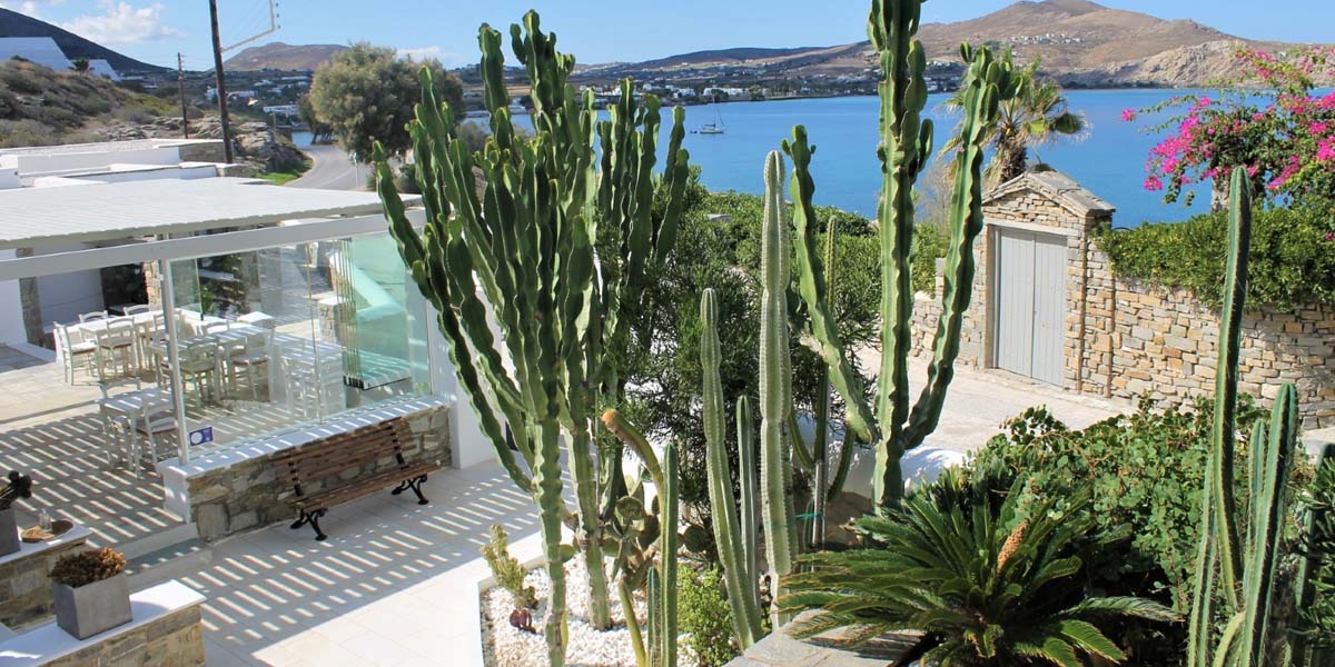 Parian Lithos Naoussa